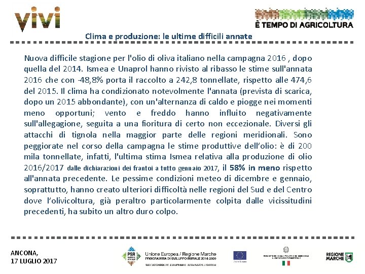 Clima e produzione: le ultime difficili annate Nuova difficile stagione per l'olio di oliva Clima e produzione: le ultime difficili annate Nuova difficile stagione per l'olio di oliva