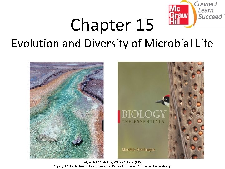 Chapter 15 Evolution and Diversity of Microbial Life Algae: © NPS photo by William