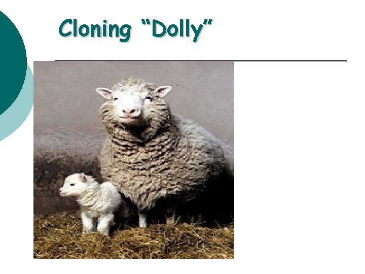 Cloning “Dolly” 