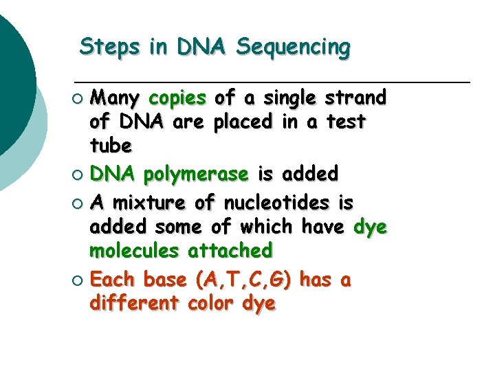 Steps in DNA Sequencing Many copies of a single strand of DNA are placed