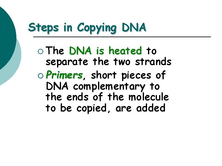 Steps in Copying DNA ¡ The DNA is heated to separate the two strands