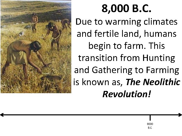 8, 000 B. C. Due to warming climates and fertile land, humans begin to