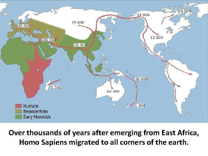 Over thousands of years after emerging from East Africa, Homo Sapiens migrated to all