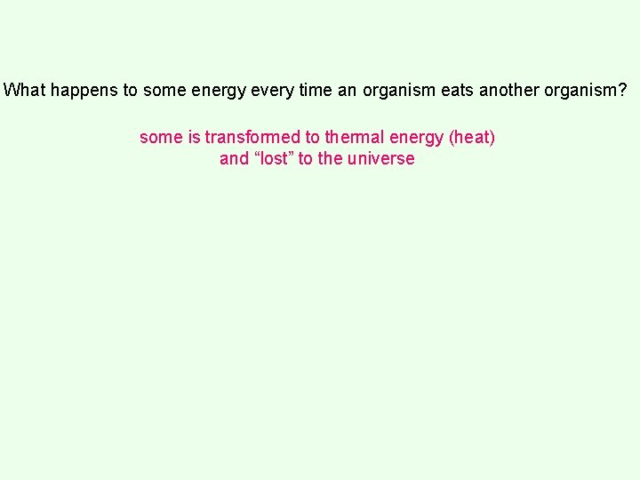 What happens to some energy every time an organism eats another organism? some is