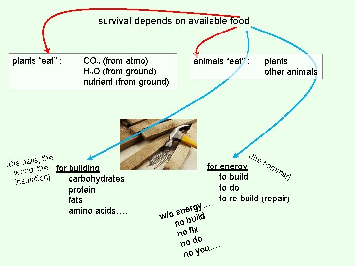 survival depends on available food plants “eat” : CO 2 (from atmo) H 2