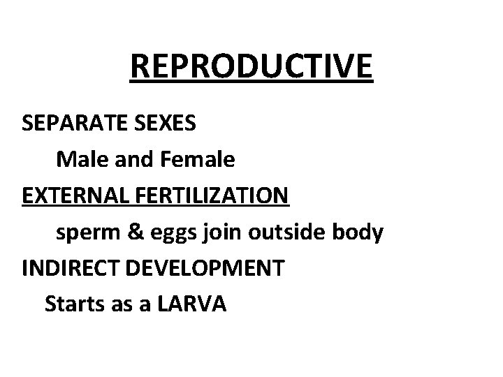 REPRODUCTIVE SEPARATE SEXES Male and Female EXTERNAL FERTILIZATION sperm & eggs join outside body