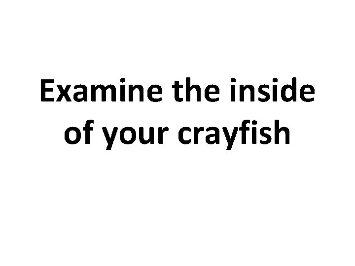 Examine the inside of your crayfish 