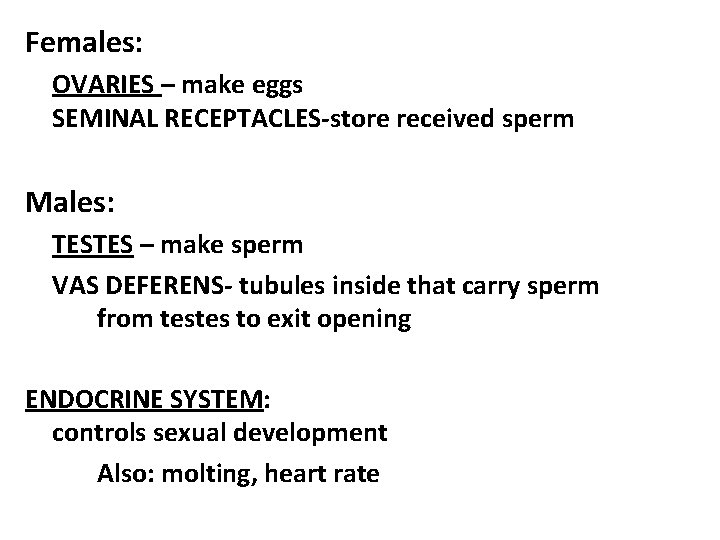 Females: OVARIES – make eggs SEMINAL RECEPTACLES-store received sperm Males: TESTES – make sperm