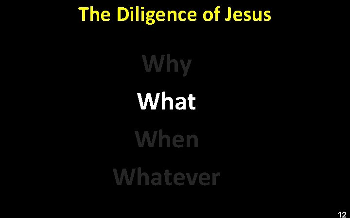 The Diligence of Jesus Why What When Whatever 12 