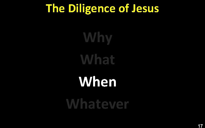 The Diligence of Jesus Why What When Whatever 17 