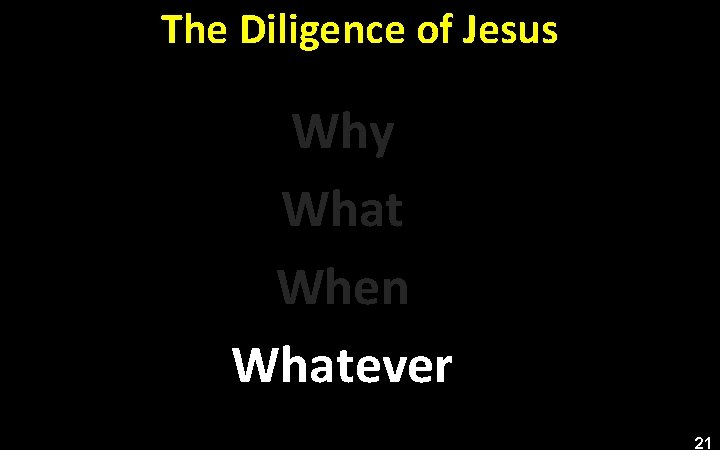 The Diligence of Jesus Why What When Whatever 21 