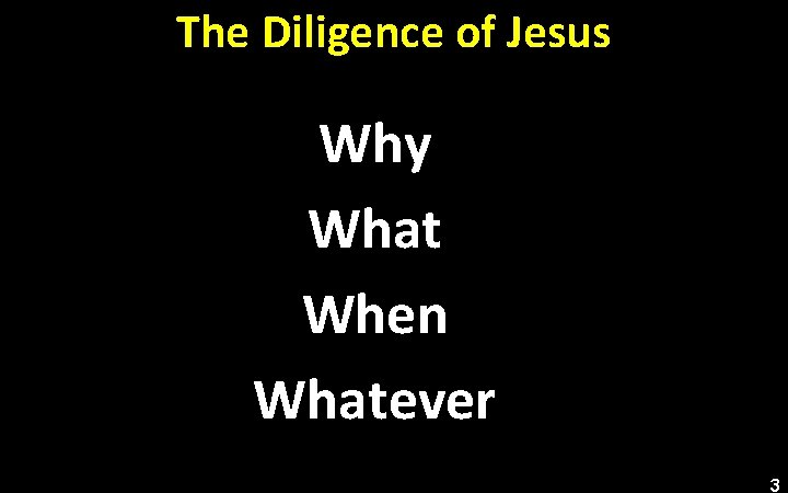 The Diligence of Jesus Why What When Whatever 3 