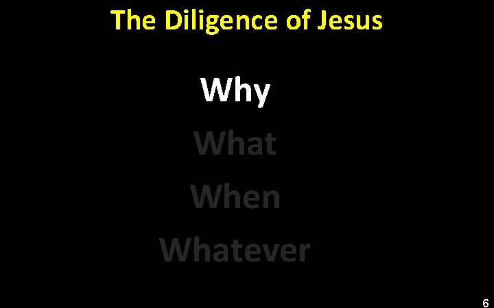The Diligence of Jesus Why What When Whatever 6 