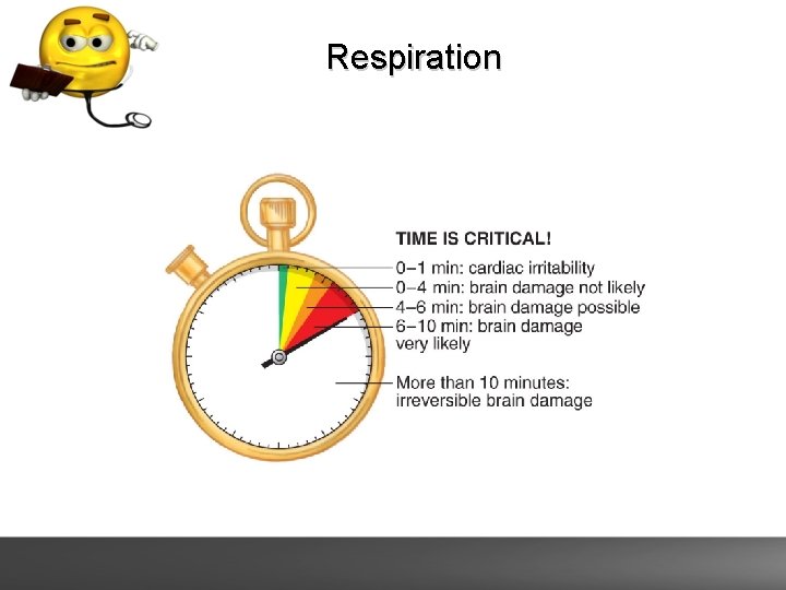 Respiration 