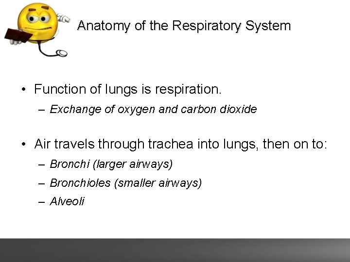 Anatomy of the Respiratory System • Function of lungs is respiration. – Exchange of