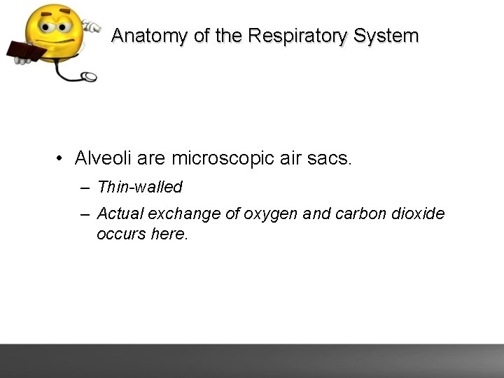 Anatomy of the Respiratory System • Alveoli are microscopic air sacs. – Thin-walled –