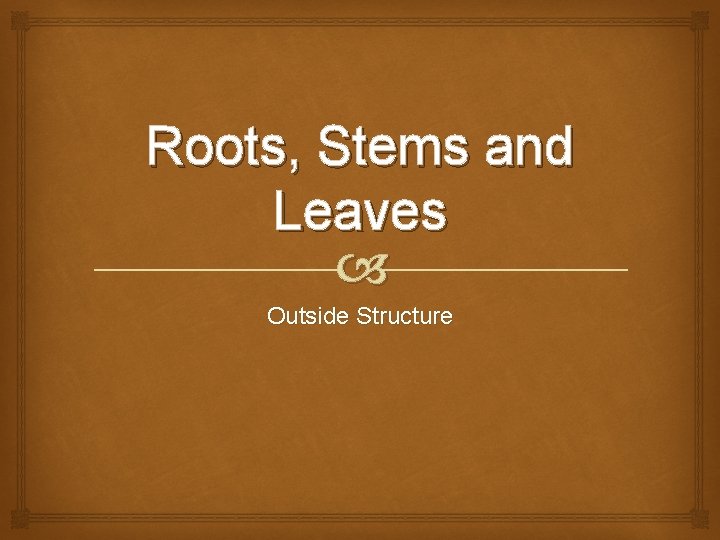 Roots, Stems and Leaves Outside Structure 