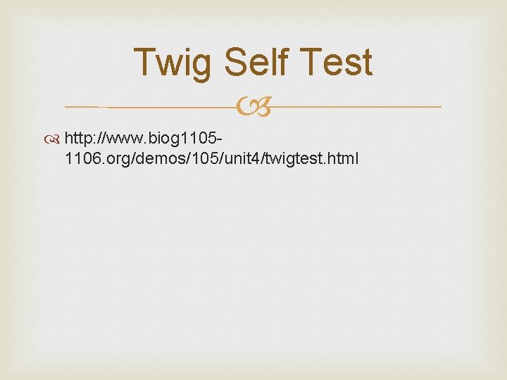 Twig Self Test http: //www. biog 11051106. org/demos/105/unit 4/twigtest. html 