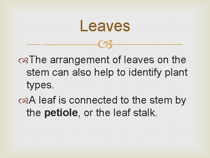 Leaves The arrangement of leaves on the stem can also help to identify plant