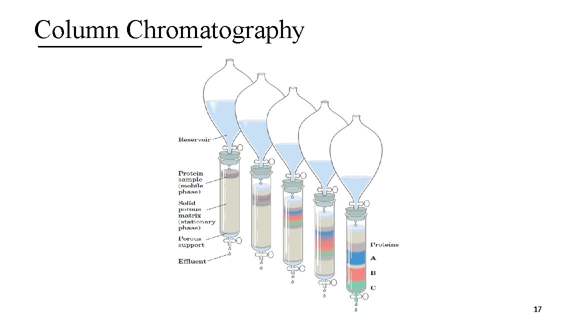 Column Chromatography 17 