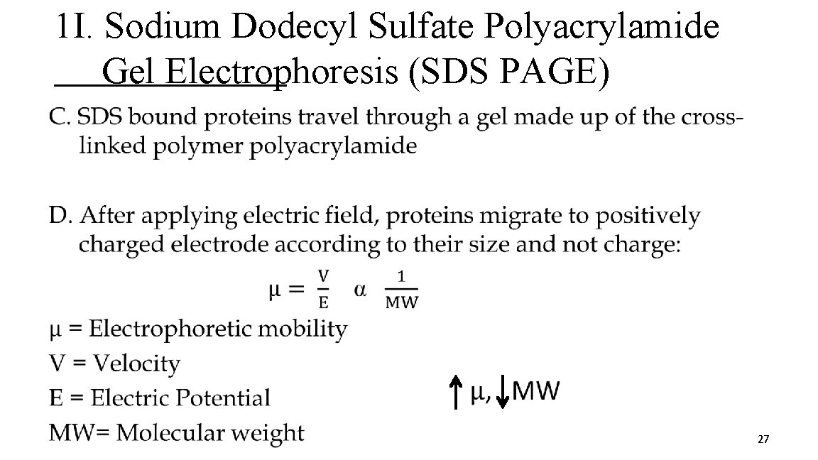 1 I. Sodium Dodecyl Sulfate Polyacrylamide Gel Electrophoresis (SDS PAGE) • 27 