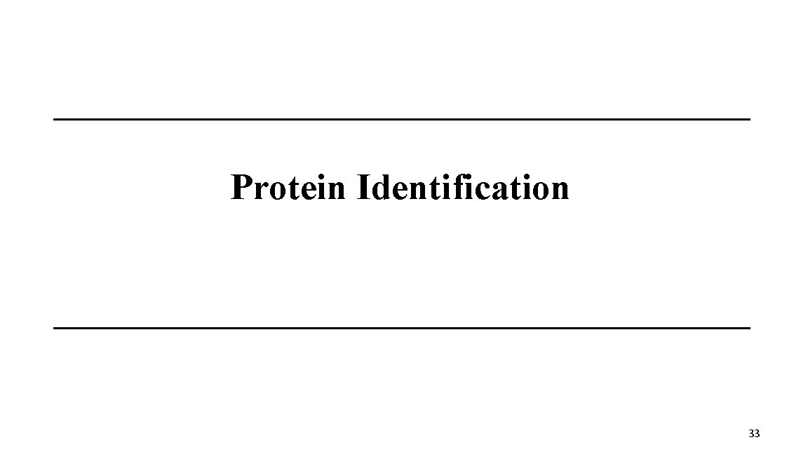 Protein Identification 33 