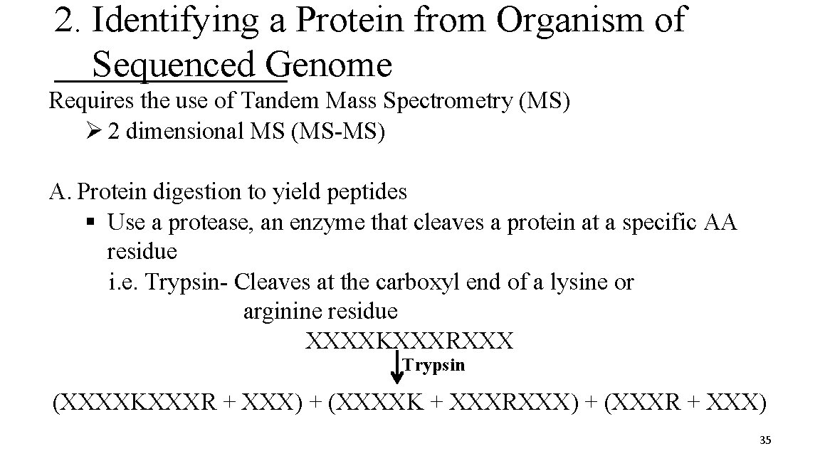 2. Identifying a Protein from Organism of Sequenced Genome Requires the use of Tandem