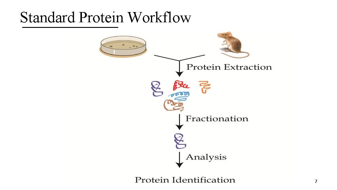 Standard Protein Workflow 7 