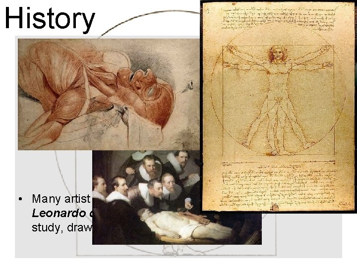 History • During the Renaissance (“Rebirth”) the study of human life and medicine began