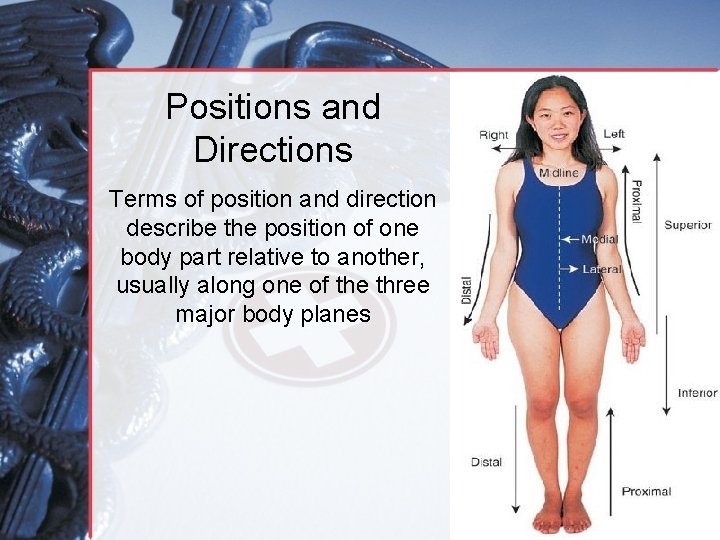 Positions and Directions Terms of position and direction describe the position of one body