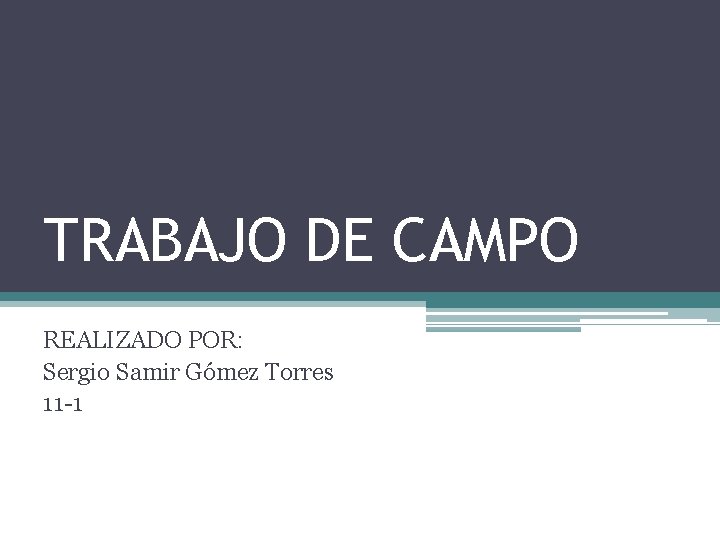TRABAJO DE CAMPO REALIZADO POR: Sergio Samir Gómez Torres 11 -1 