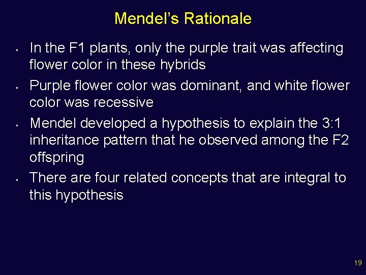 Mendel’s Rationale • • In the F 1 plants, only the purple trait was