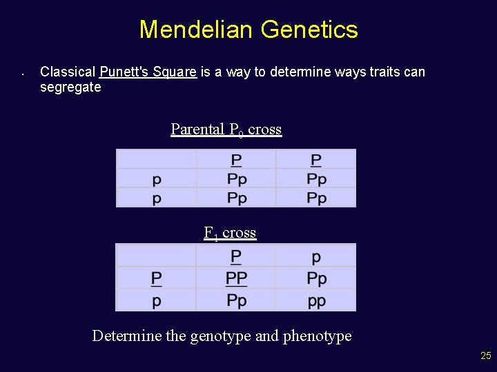 Mendelian Genetics • Classical Punett's Square is a way to determine ways traits can