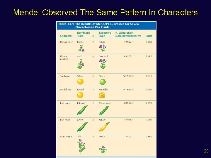 Mendel Observed The Same Pattern In Characters 29 