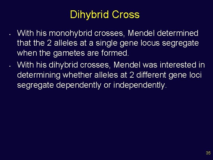 Dihybrid Cross • • With his monohybrid crosses, Mendel determined that the 2 alleles