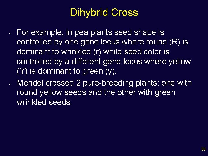 Dihybrid Cross • • For example, in pea plants seed shape is controlled by