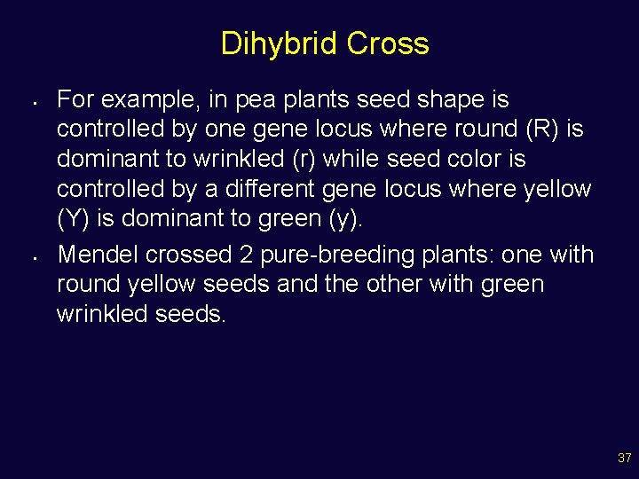 Dihybrid Cross • • For example, in pea plants seed shape is controlled by