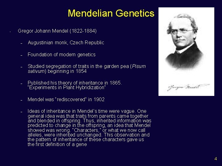 Mendelian Genetics • Gregor Johann Mendel (1822 -1884) – Augustinian monk, Czech Republic –