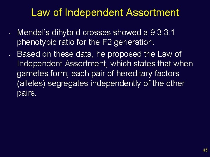 Law of Independent Assortment • • Mendel’s dihybrid crosses showed a 9: 3: 3: