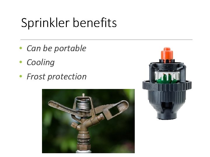 Sprinkler benefits • Can be portable • Cooling • Frost protection 