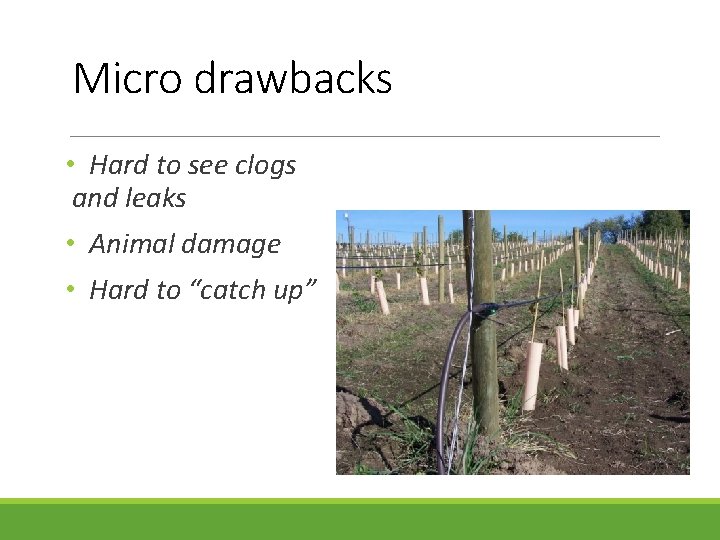 Micro drawbacks • Hard to see clogs and leaks • Animal damage • Hard