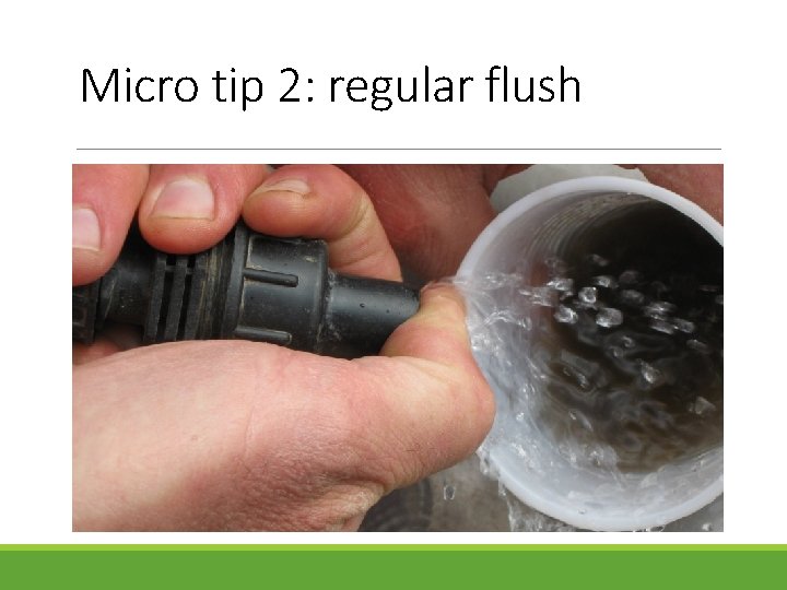 Micro tip 2: regular flush 