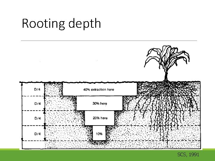 Rooting depth SCS, 1991 