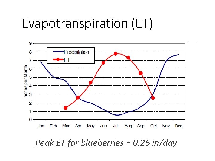Evapotranspiration (ET) Peak ET for blueberries = 0. 26 in/day 