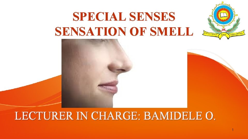 SPECIAL SENSES SENSATION OF SMELL LECTURER IN CHARGE: BAMIDELE O. 1 