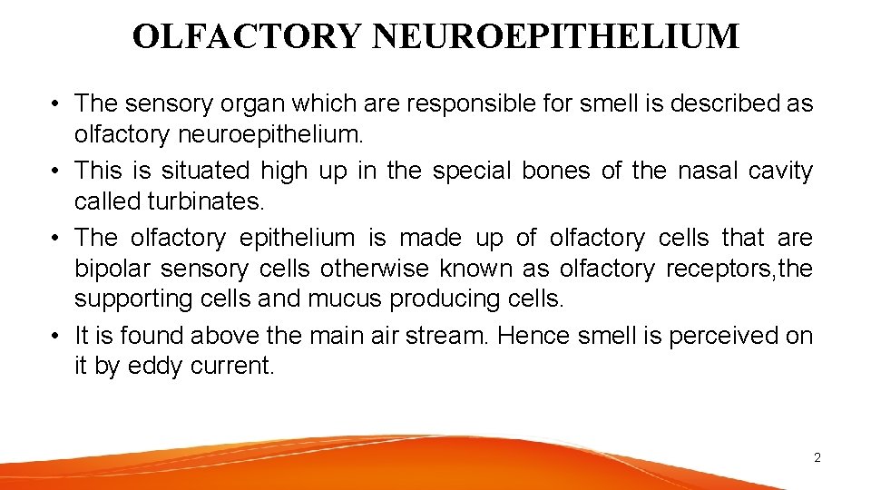 OLFACTORY NEUROEPITHELIUM • The sensory organ which are responsible for smell is described as