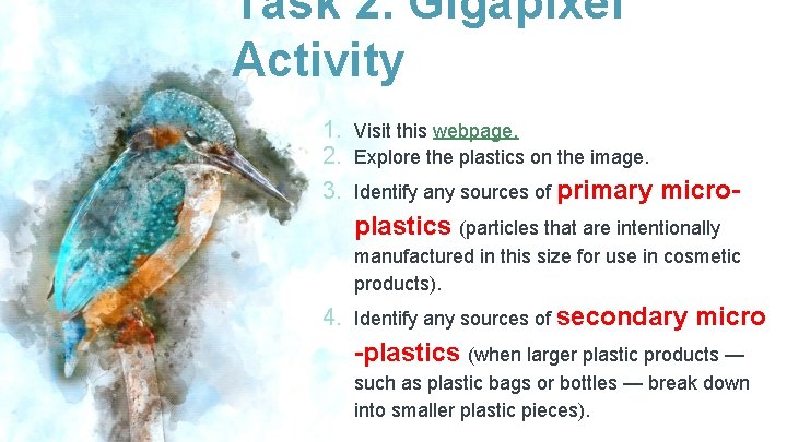 Task 2. Gigapixel Activity 1. Visit this webpage. 2. Explore the plastics on the