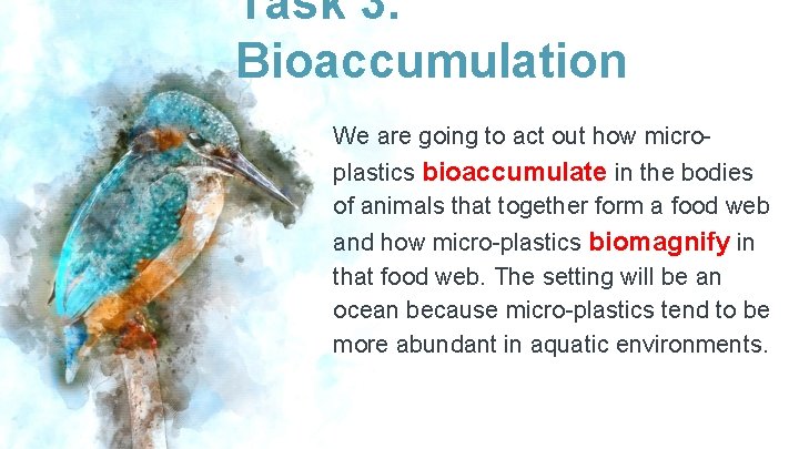 Task 3. Bioaccumulation We are going to act out how microplastics bioaccumulate in the
