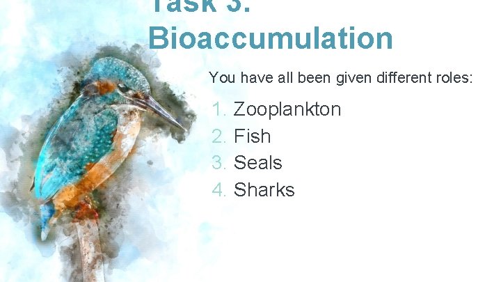 Task 3. Bioaccumulation You have all been given different roles: 1. 2. 3. 4.