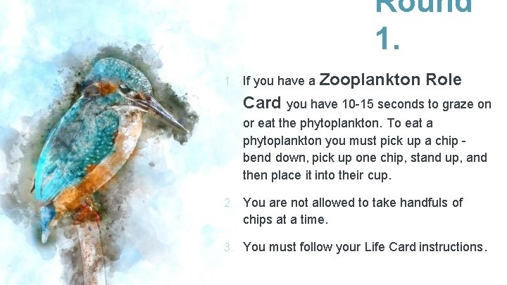 Round 1. 1. If you have a Zooplankton Role Card you have 10 -15